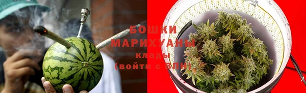 шишки Пестово