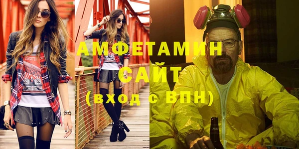 дмт Пересвет
