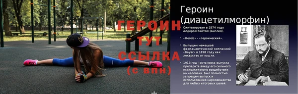 дмт Пересвет